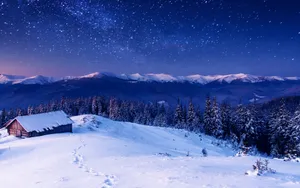 冬季漫天飞雪雪景图片_5