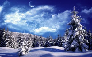 冬季漫天飞雪雪景图片_8