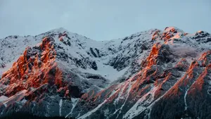 冰冷的雪山风景图片_5