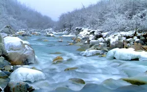 冬季冰封的河流溪流风景壁纸