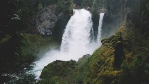 森林里的小瀑布溪流图片_4