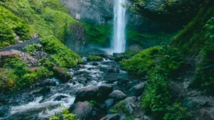 森林里的小瀑布溪流图片_10