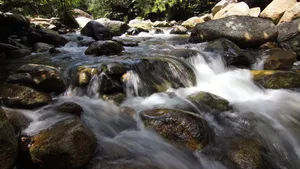 山间溪水小溪流水图片_4
