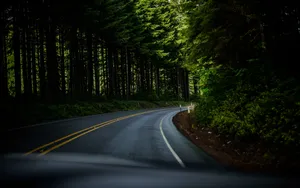 蜿蜒的沥青公路风景图片_2