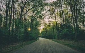蜿蜒的沥青公路风景图片_4