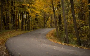 蜿蜒的沥青公路风景图片_5