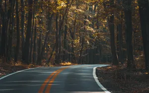 蜿蜒的沥青公路风景图片_7