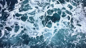 蓝色大海浪花图片_2