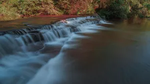 黄荆老林溪流风景图片_2
