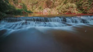 黄荆老林溪流风景图片_4