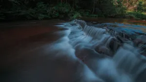 黄荆老林溪流风景图片_5
