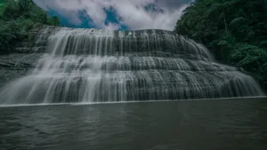 黄荆老林溪流风景图片_7