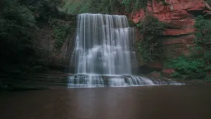 黄荆老林溪流风景图片_8