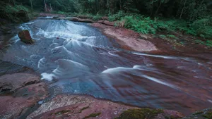 黄荆老林溪流风景图片_9