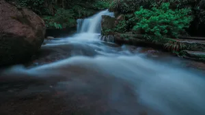 黄荆老林溪流风景图片_10