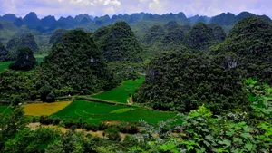 贵州万峰林风景图片_17