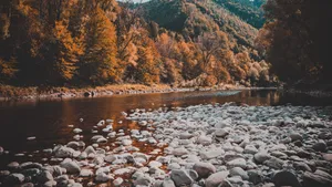 涓涓流淌的小溪溪流图片_3