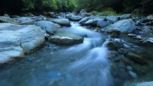 涓涓流淌的小溪溪流图片_4