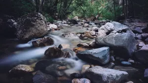 涓涓流淌的小溪溪流图片_7