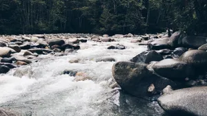 涓涓流淌的小溪溪流图片_8