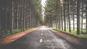 公路风景图片壁纸_6