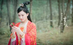 诛仙青云志女演员图片壁纸_5