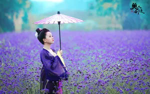 美人制造电视剧剧照壁纸_4