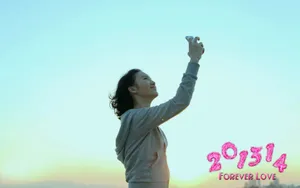 201314电影桌面壁纸_14