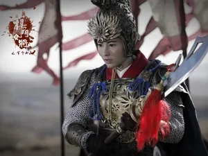 《杨门女将之军令如山》电影壁纸