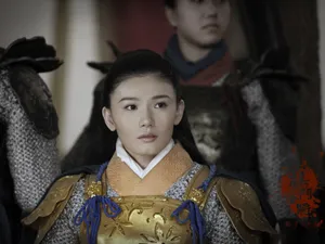 《杨门女将之军令如山》电影壁纸_9