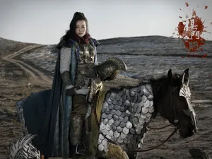 《杨门女将之军令如山》电影壁纸_18