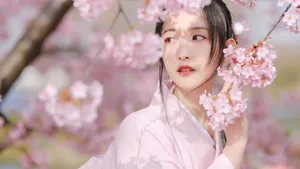 樱花树下的的美女图片