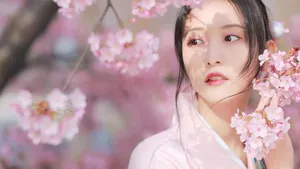 樱花树下的的美女图片_6