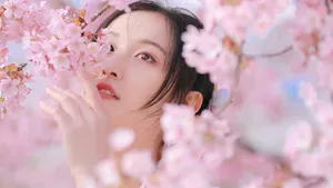 樱花树下的的美女图片_9