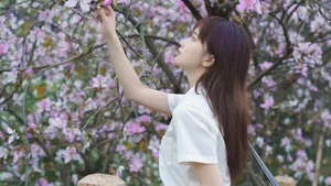 5k高清jk少女唯美写真图片_10
