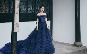 杨紫性感蓝色露肩裙图片_2
