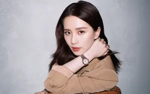 刘诗诗优雅桌面壁纸