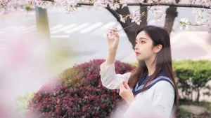 樱花JK少女意境写真图片_8
