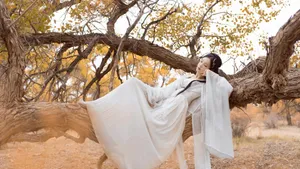 美女白衣仙女汉服写真_4