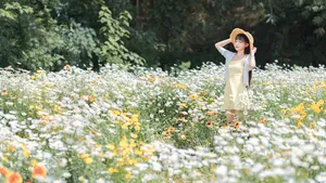 咬人猫花海写真图片壁纸_4