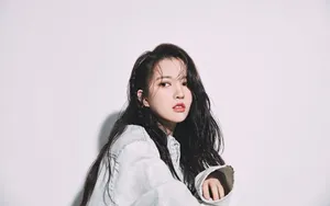刘些宁美女壁纸_2