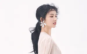 刘些宁美女壁纸_8