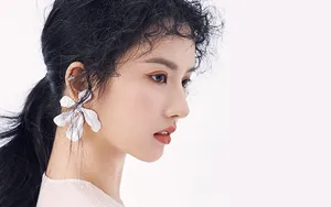 刘些宁美女壁纸_9