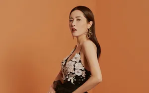 曾黎壁纸图片_3
