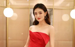 徐璐优雅图片壁纸_3