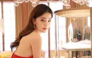徐璐优雅图片壁纸_4