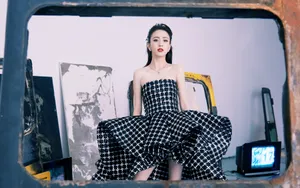 佟丽娅格子抹胸裙图片_4