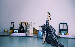佟丽娅格子抹胸裙图片_7