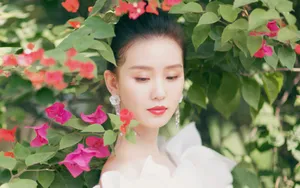 刘诗诗魅力写真壁纸