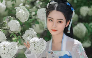 古风美女壁纸_3